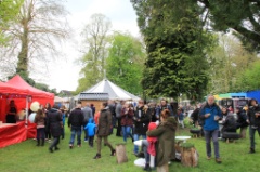 Et aussi 49 * 5184 x 3456 * (10.56MB)